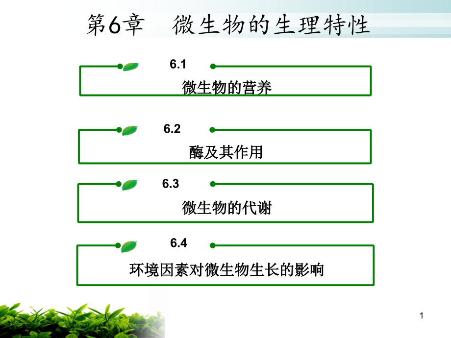 微生物第六章微生物的生理特性课件_第1页