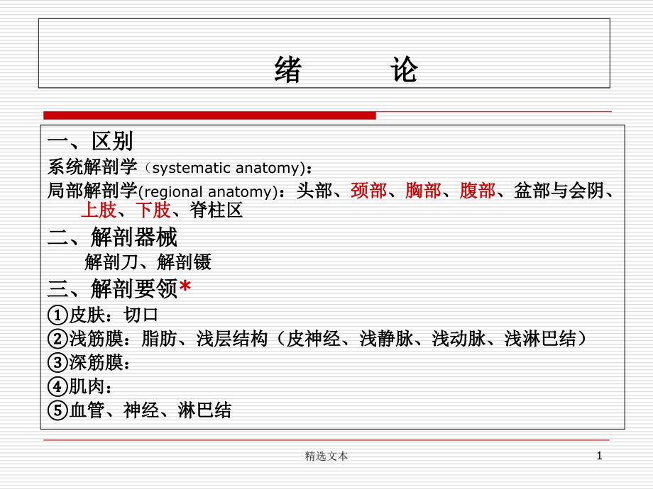 局部解剖学-下肢课件_第1页