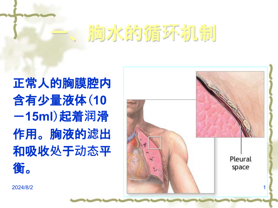 少量胸腔积液课件_第1页