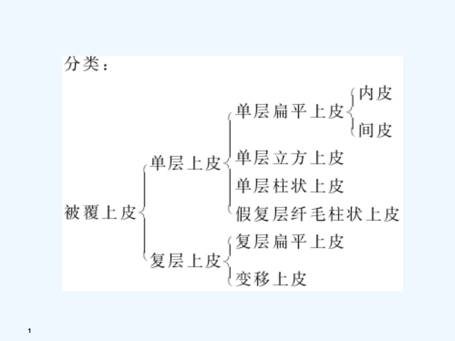 解剖学课程基本组织课件_第1页