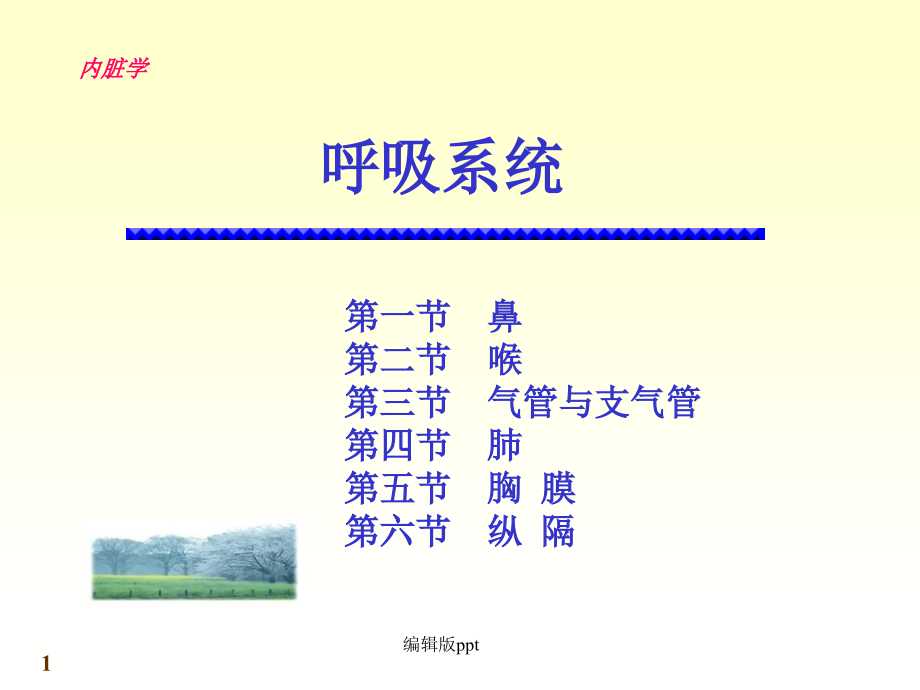 呼吸系统-医学演示文稿课件_第1页