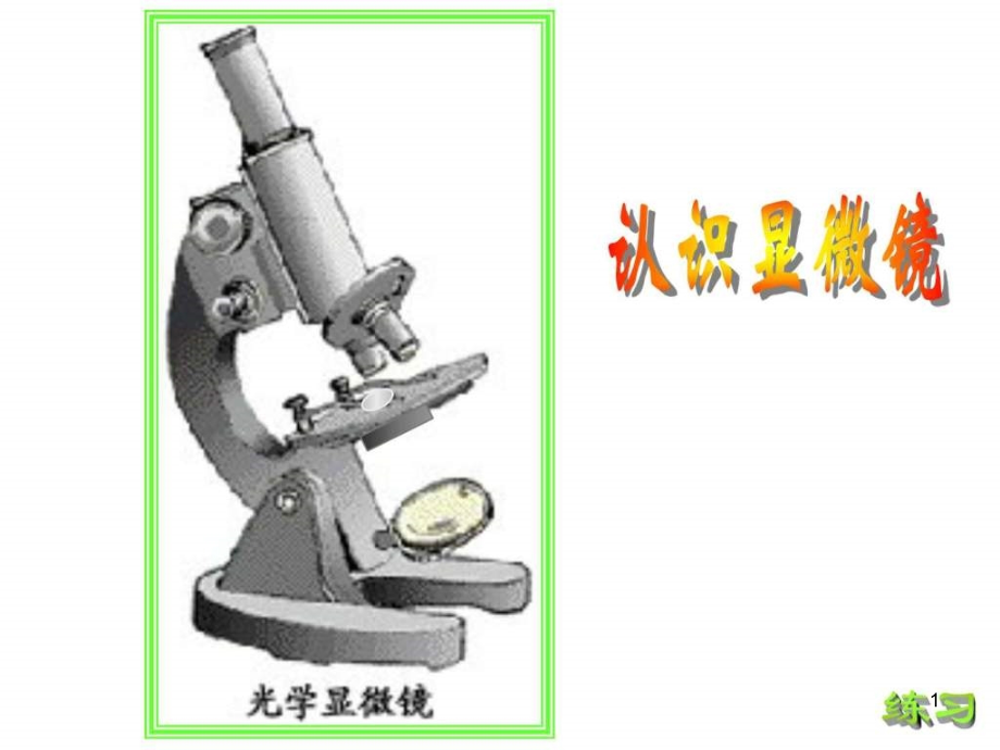 显微镜的结构和使用课件_第1页