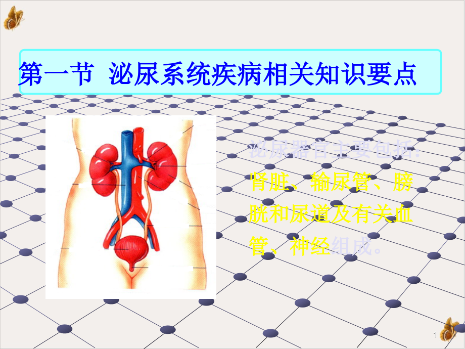 泌尿系统疾病常见症状体征的护理课件整理_第1页