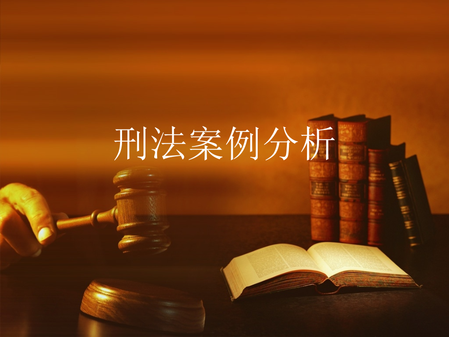 布鲁塞尔判决刑法案例分析_第1页