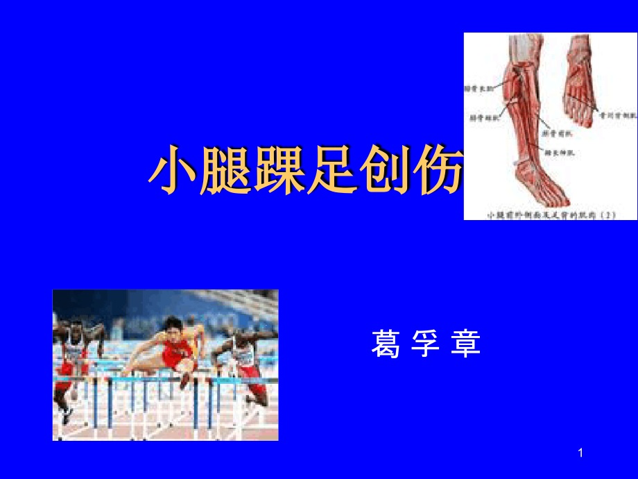 小腿足踝运动教学课件_第1页