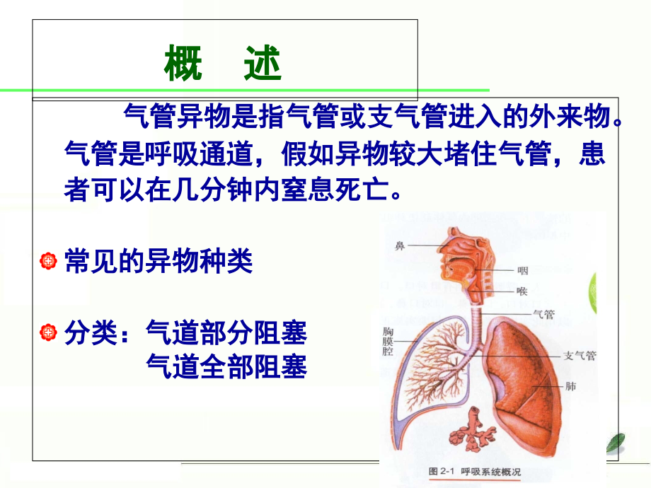 气道异物梗塞救护操作流程课件_第1页