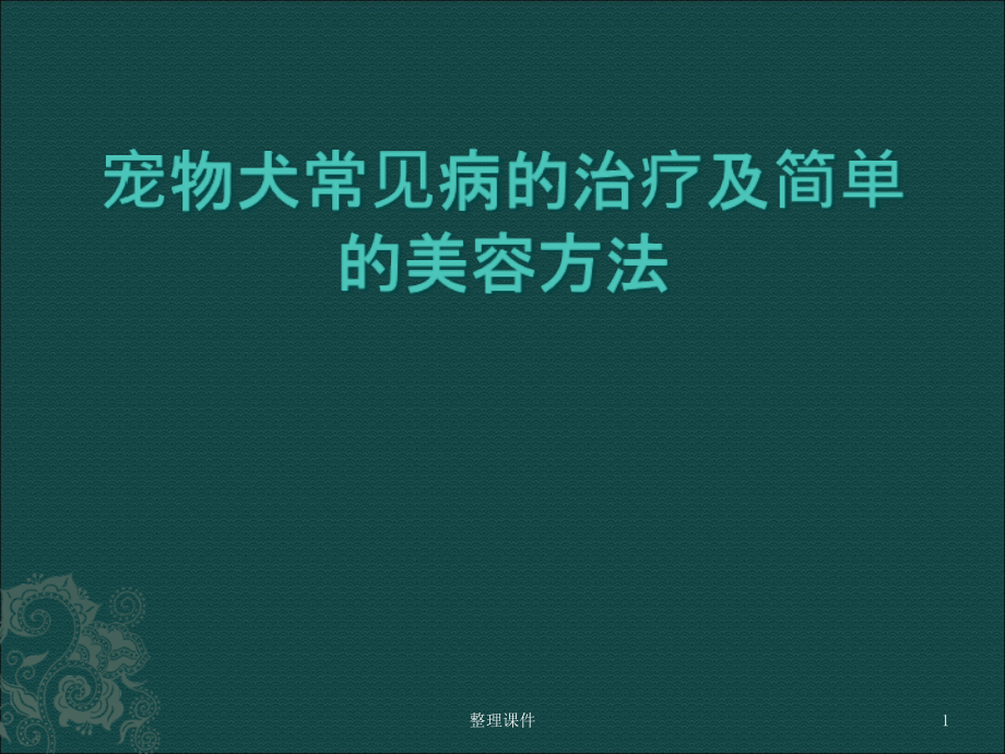 宠物常见病治疗及美容方法课件_第1页