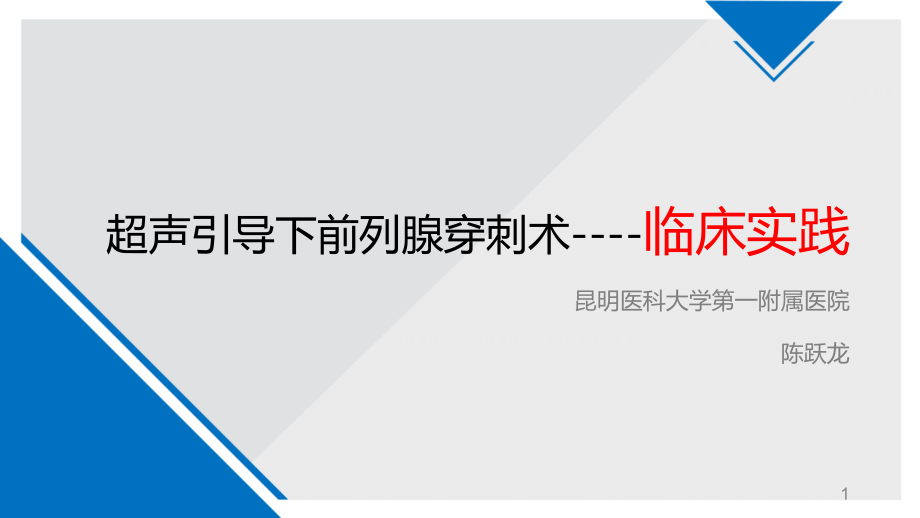 超声引导下前列腺穿刺临床实践课件_第1页