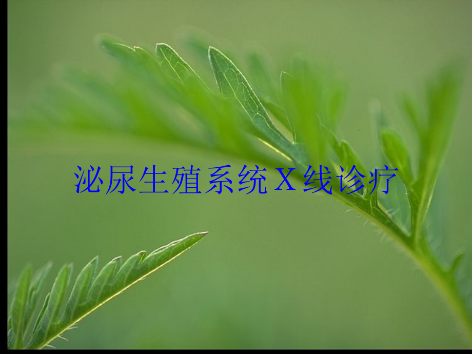 泌尿生殖系统X线诊疗培训课件_第1页