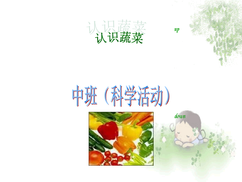 中班科学ppt认识蔬菜课件_第1页