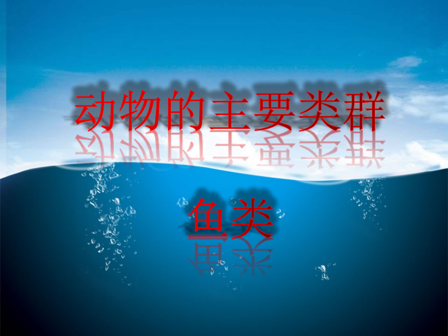 人教版八年级上册第一章第四节鱼ppt课件_第1页