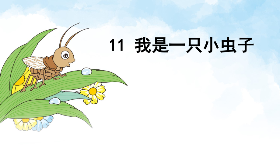 新人教版二年级下册语文《11我是一只小虫子》公开课课件参考4_第1页