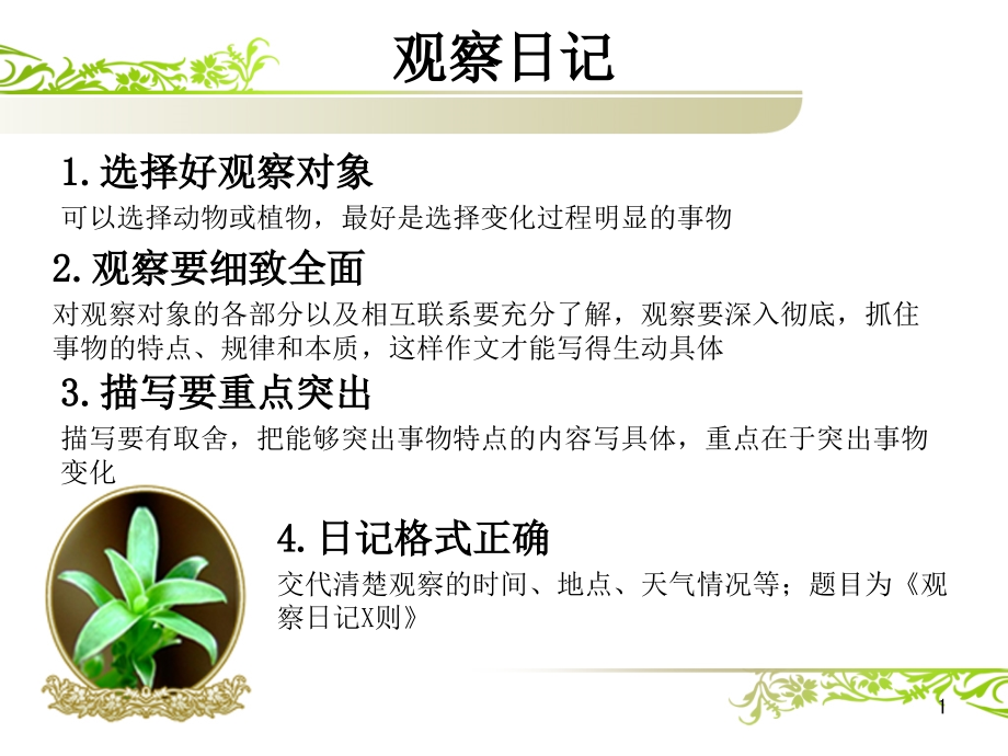 绿豆芽观察日记课件_第1页