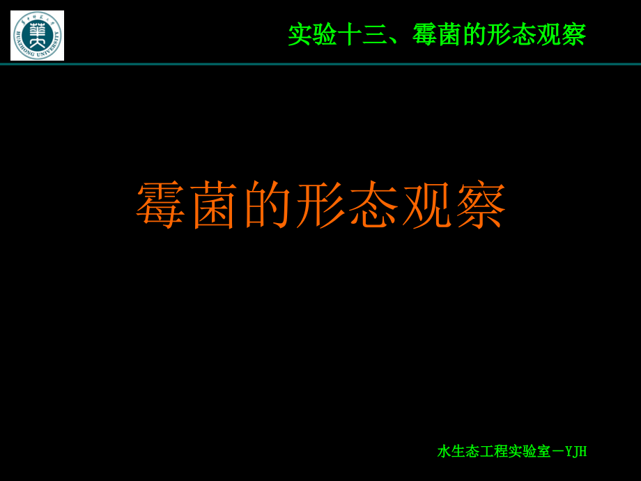 实验十三、霉菌形态观察课件_第1页