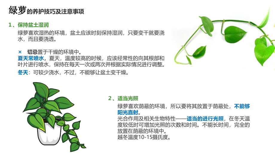 常见绿植养护方法课件_第1页