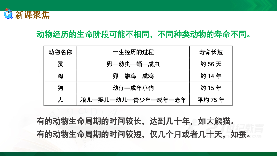 教科版三年级下册科学：28-动物的一生教学课件_第1页