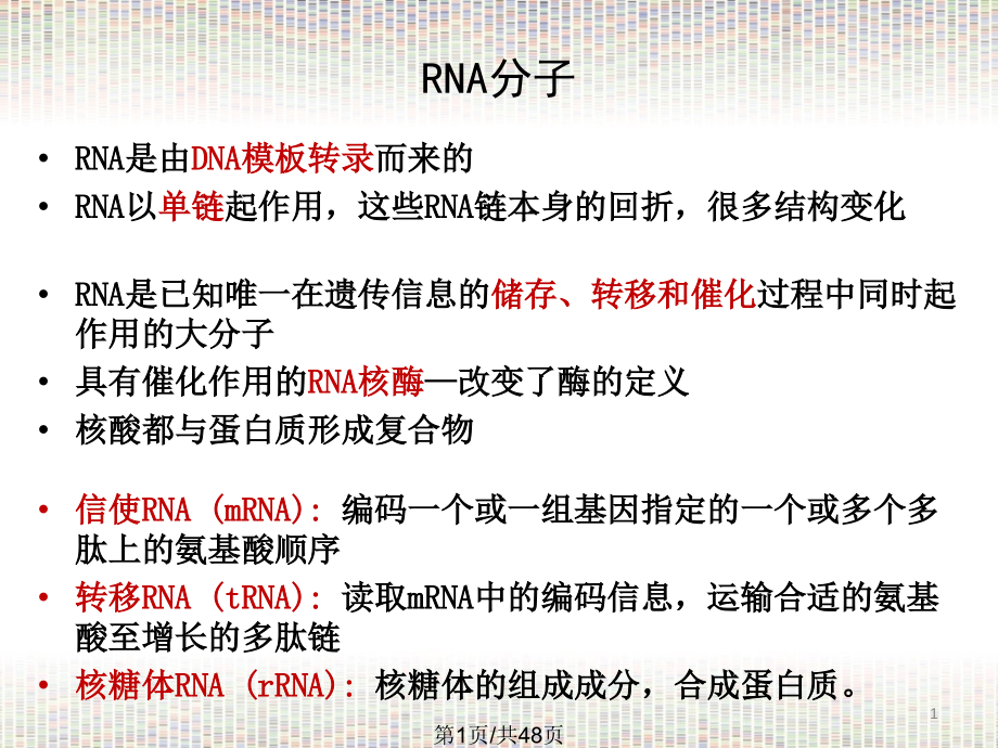 Lec19-RNA-Metabolism-st_第1页