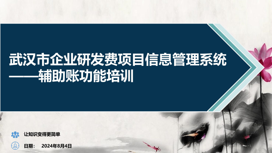 武汉市企业研发费项目信息管理系统-辅助账功能课件_第1页