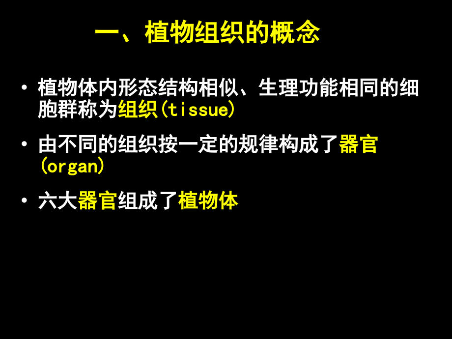 D第一章植物细胞和组织-3植物组织_第1页