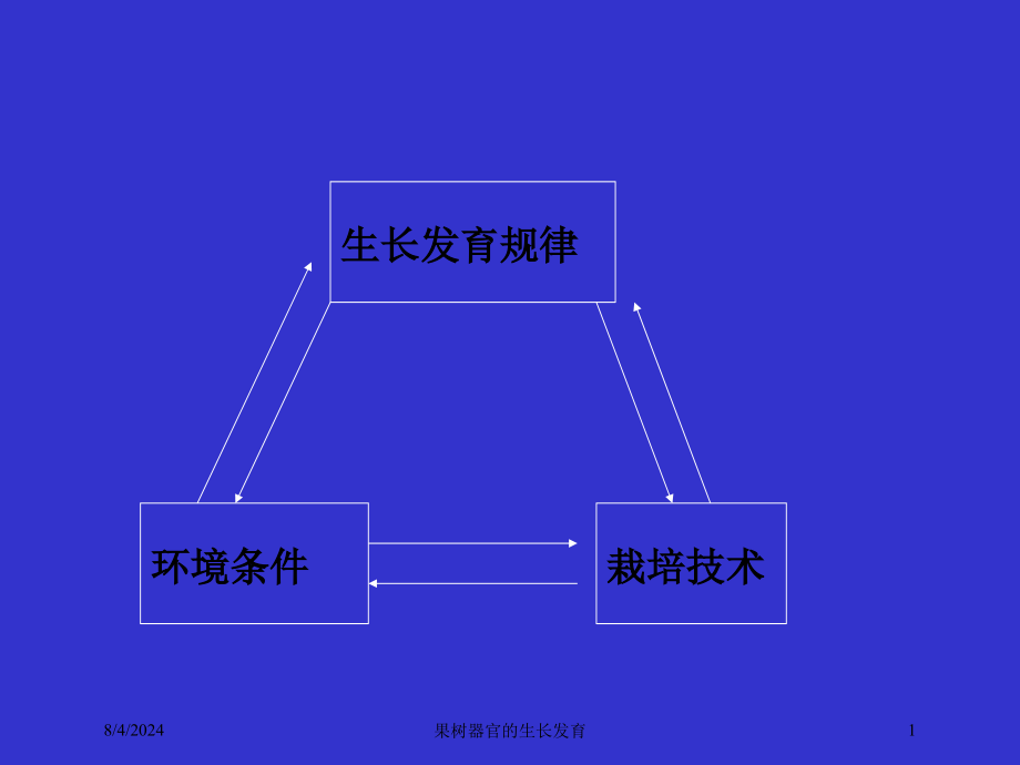 果树器官的生长发育培训课件_第1页