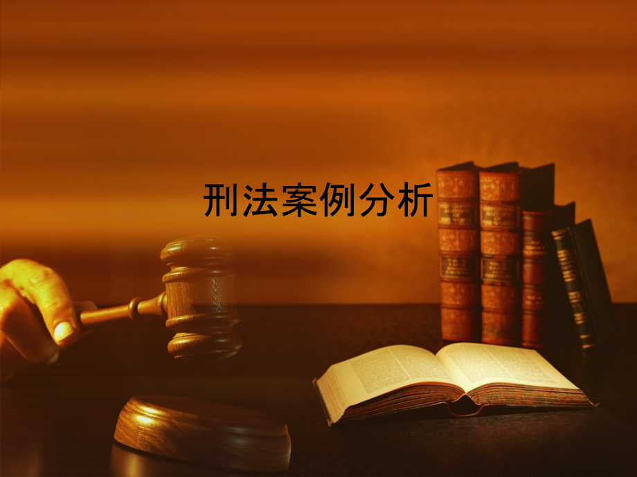 布鲁塞尔判决刑法案例分析课件资料_第1页