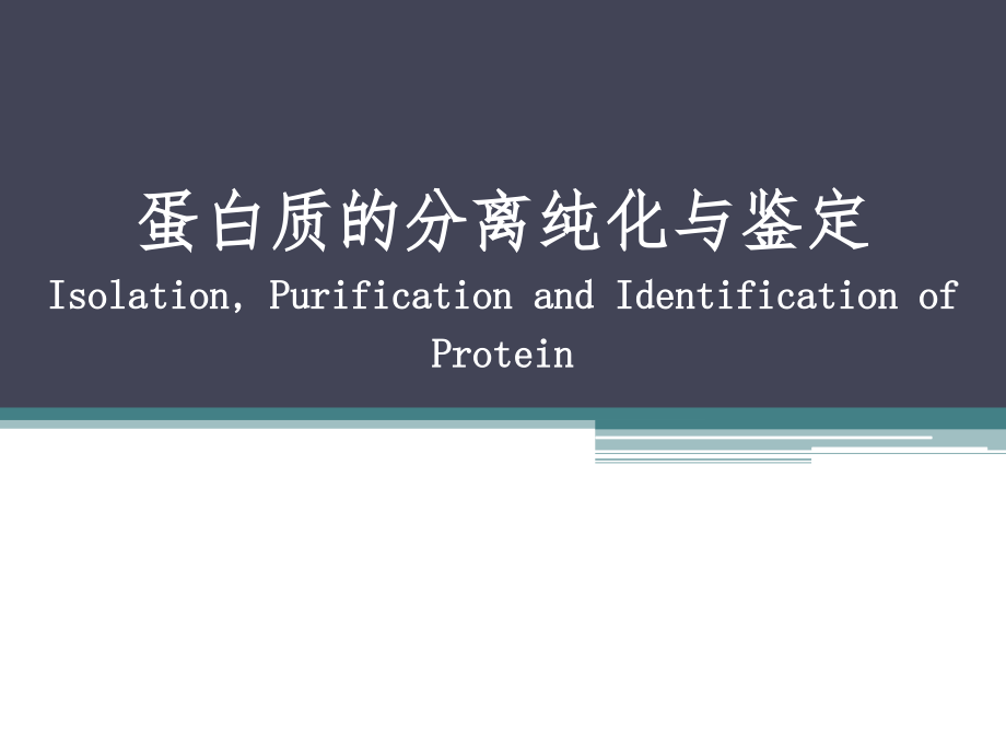 蛋白质纯化技术课件_第1页