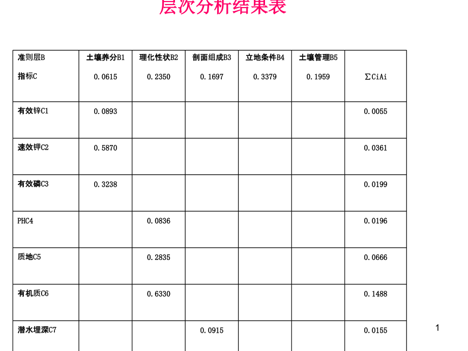 层次分析结果表课件_第1页