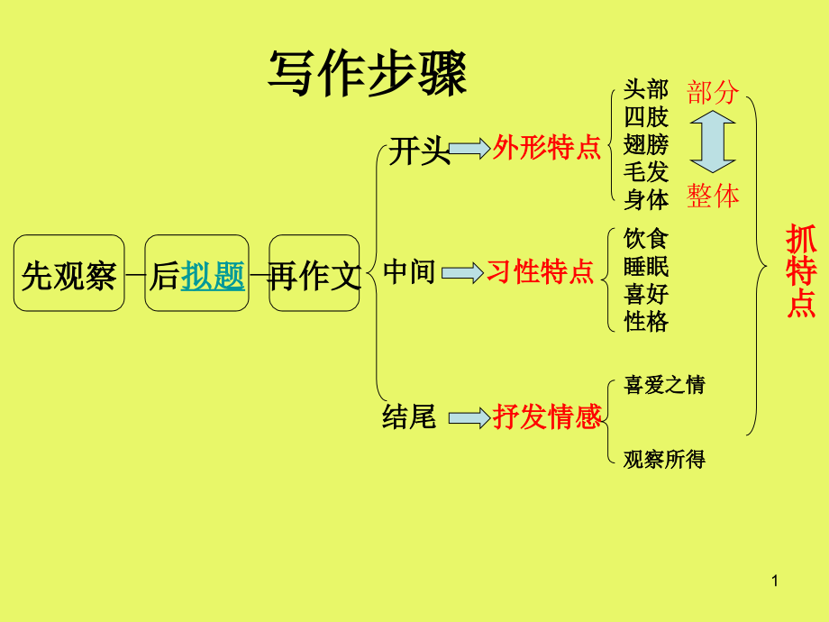 作文《菊花》课件_第1页