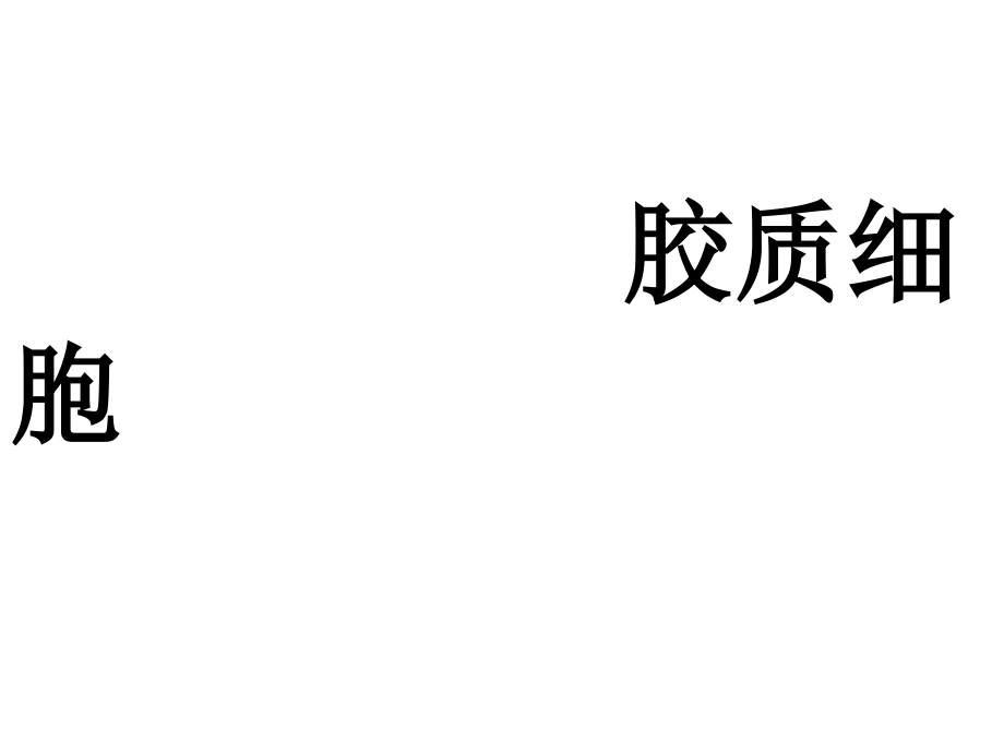 《神經(jīng)生物學》-膠質(zhì)細胞課件_第1頁