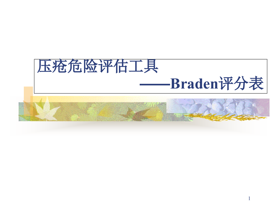 Braden评分表课件_第1页