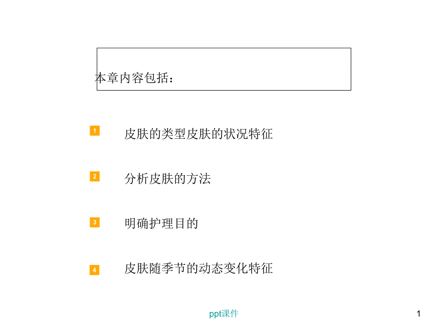 皮肤的类型及分析--课件_第1页