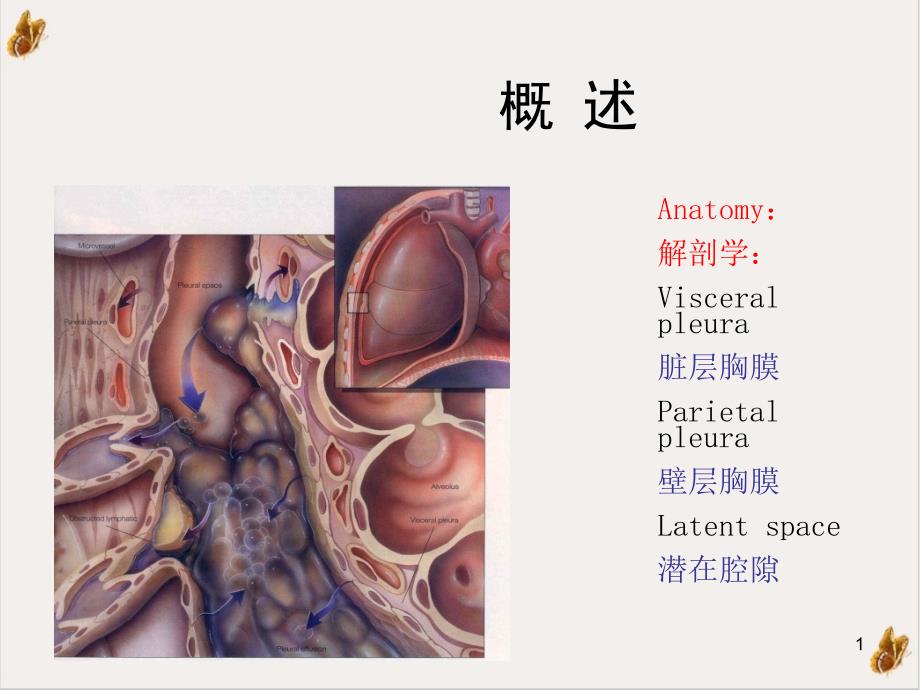 结核性胸膜炎的护理课件_第1页