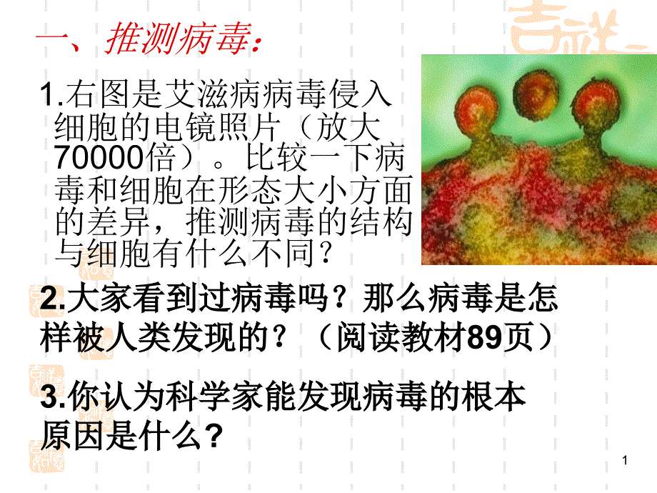 病毒教学讲解课件_第1页