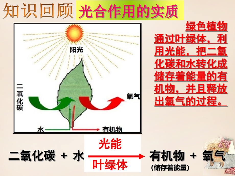 六年级生物下册-第三单元-第五章-呼吸作用消耗氧气释放二氧化碳教学ppt课件-鲁科版(五四制)_第1页