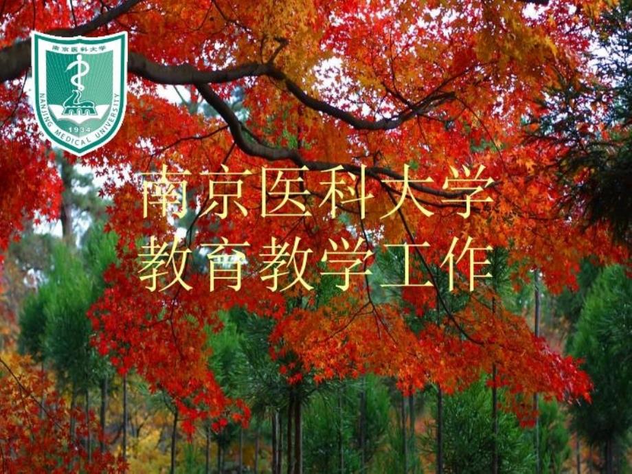 南京医科大学自评报告共_第1页