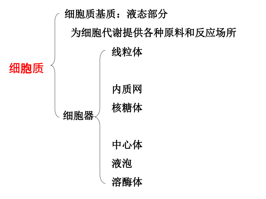 生物《细胞器——系统内的分工合作》新人教版必修课件_第1页