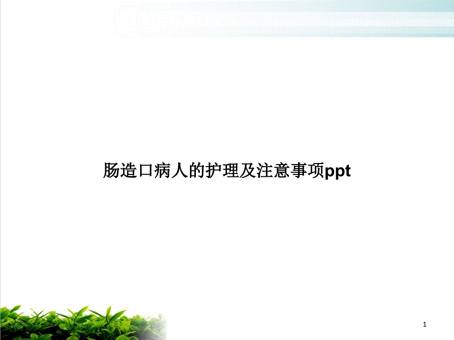 肠造口病人的护理及注意事项课件_第1页