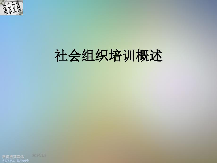 社会组织培训概述课件_第1页