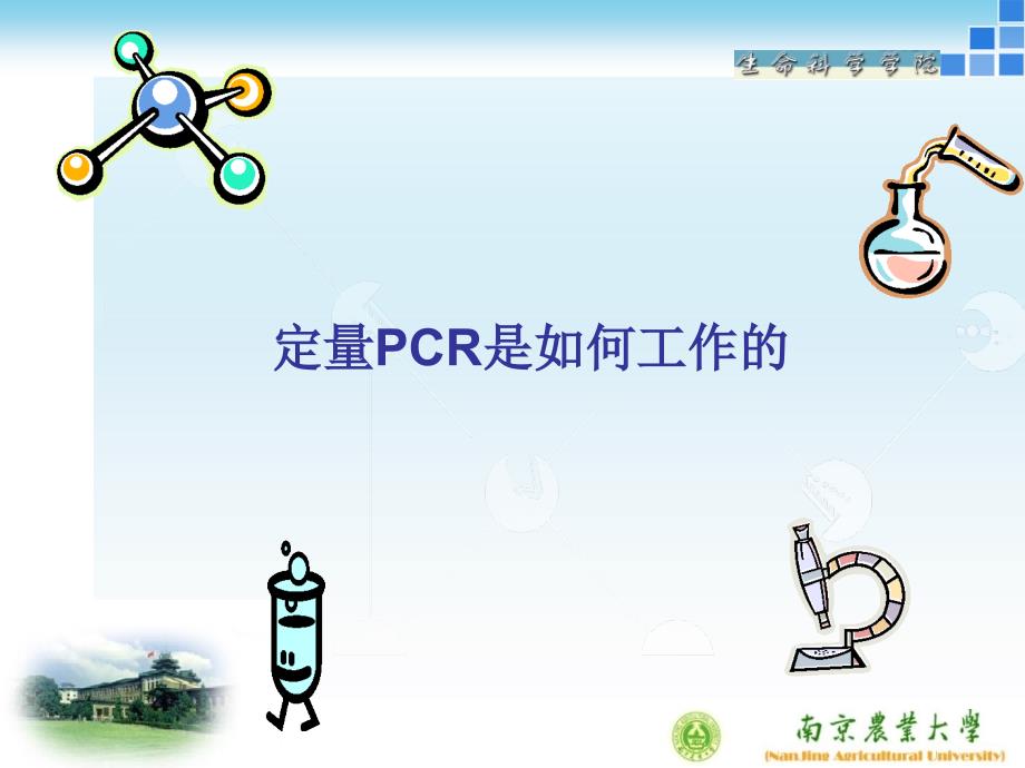 荧光定量PCR技术-适用版资料教学课件_第1页