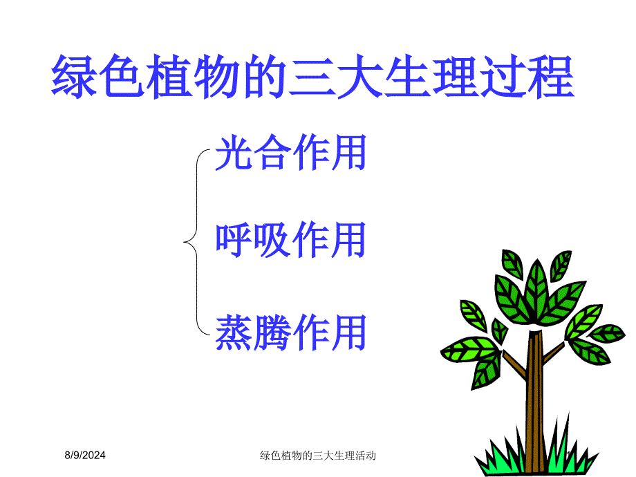 绿色植物的三大生理活动培训课件_第1页