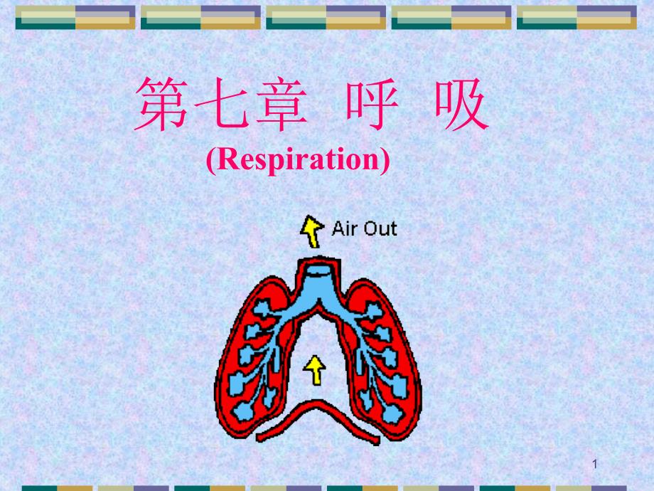 人体解剖生理学全套下册ppt课件_第1页