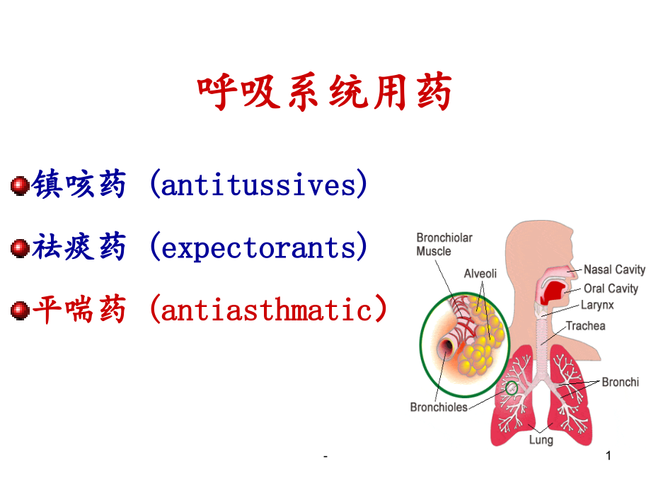 第十二讲治疗呼吸系统疾病药物课件_第1页