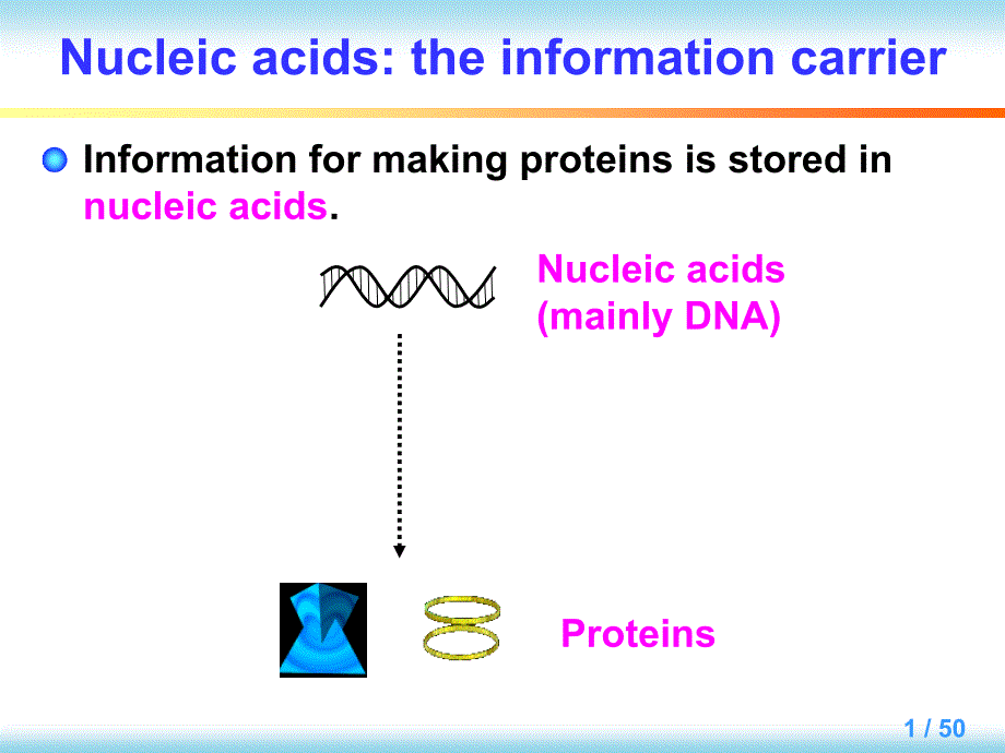 英汉对照分子生物学导论-Chapter-2-Nucleic-acids课件_第1页