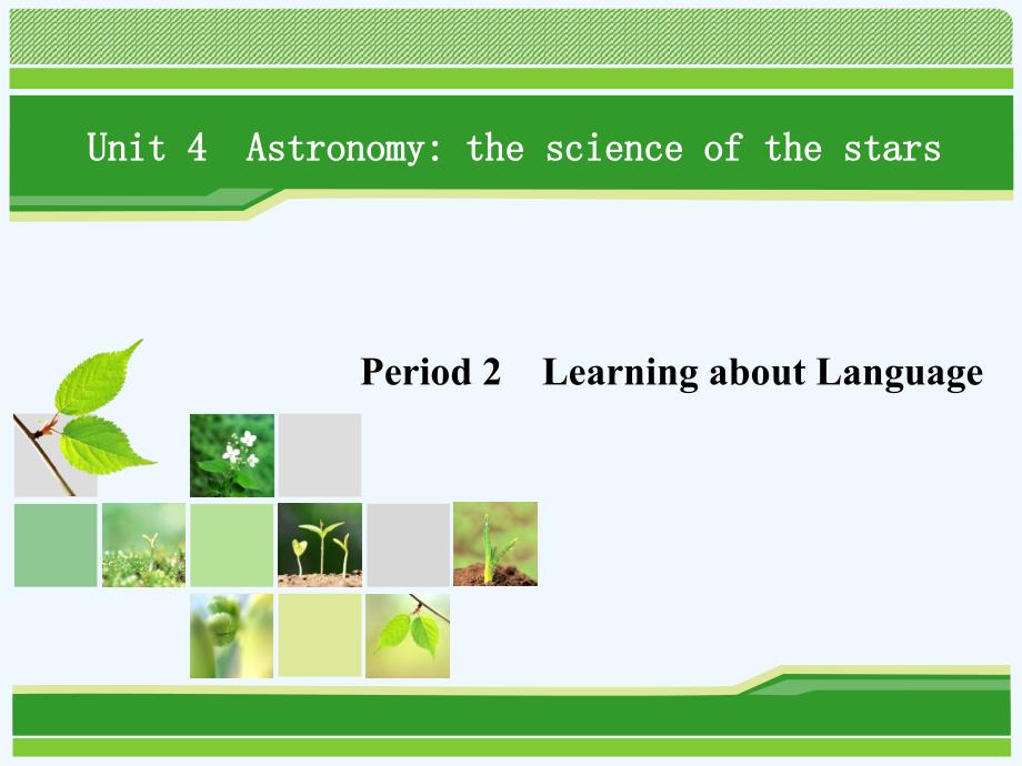 英语同步优化指导(人教必修3)课件：Unit-4-Period-2-Learning-about-Language-_第1页