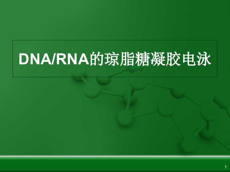 琼脂糖凝胶电泳教学课件_第1页