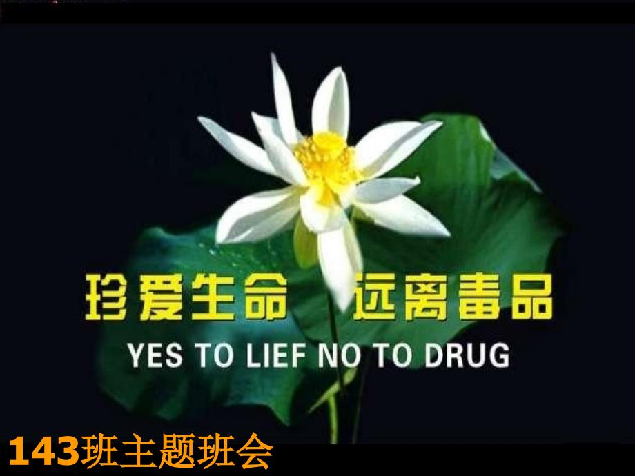 禁毒教学讲解课件_第1页