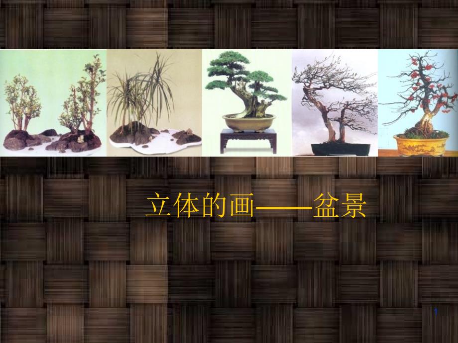 广西美术出版社九年级（初三）美术下册立体的画盆景ppt课件_第1页