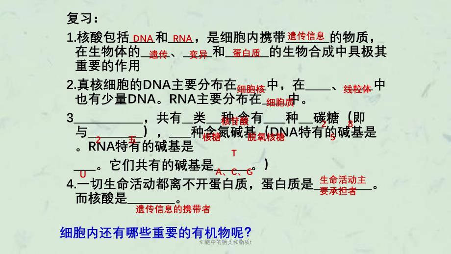 细胞中的糖类和脂质t课件_第1页