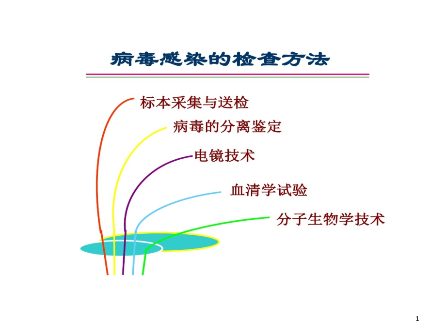 病毒感染检查模板课件_第1页