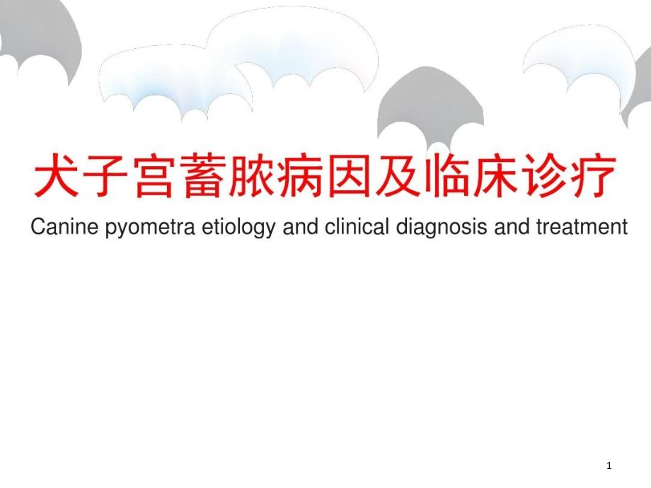 犬子宫蓄脓病因及临床诊疗课件整理_第1页